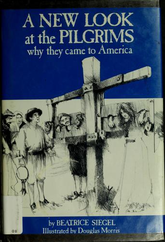 Cover for A new look at the Pilgrims