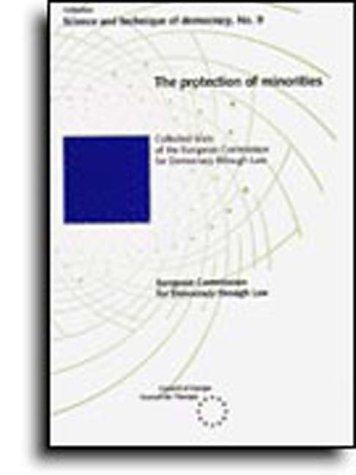 Cover for The protection of minorities (Science and Technique of Democracy No. 9) (1994)