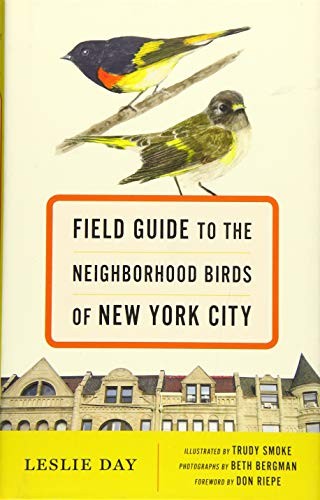 Cover for Field Guide to the Neighborhood Birds of New York City