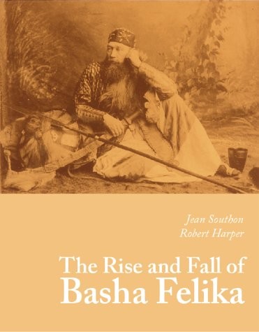 Cover for The rise and fall of Basha Felika