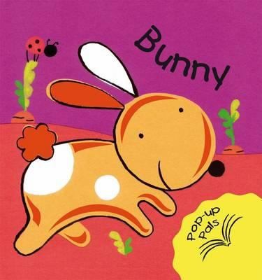 Cover for Bunny Fiona Hayes