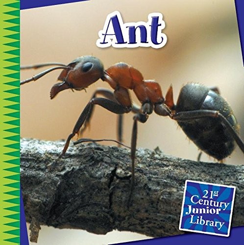 Cover for Ant
