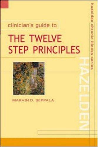 Cover for Clinician's Guide to the 12 Step Principles