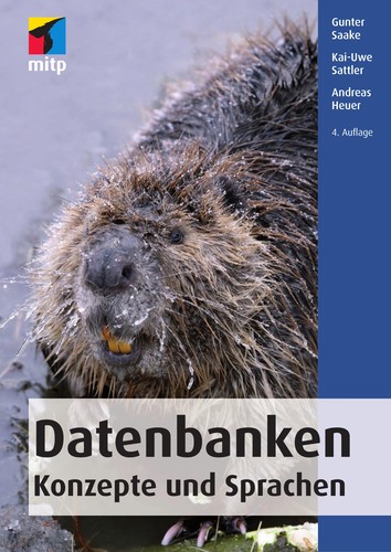 Cover for Datenbanken