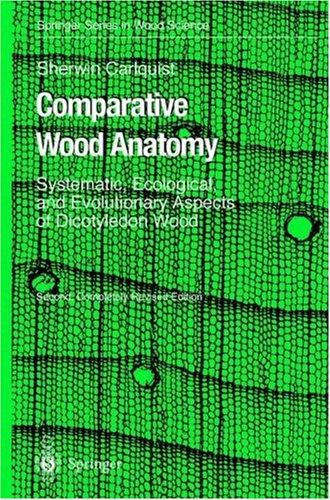 Cover for Comparative Wood Anatomy