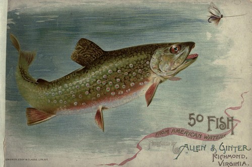 Cover for 50 fish from American waters