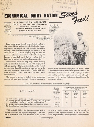 Cover for Economical dairy ration saves feed