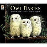 Cover for Owl Babies