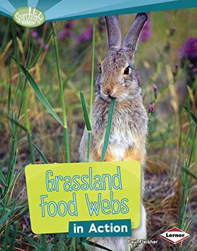 Cover for Grassland Food Webs in Action