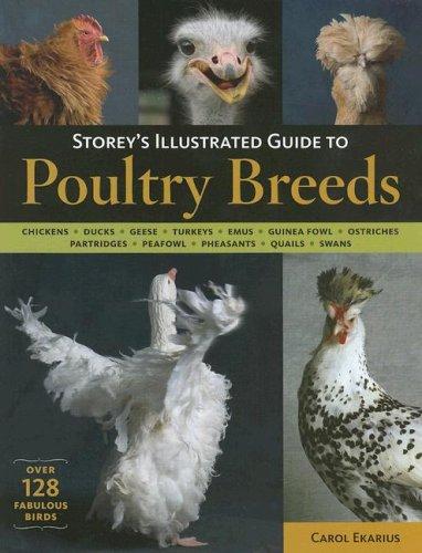 Cover for Storey's Illustrated Guide to Poultry Breeds