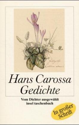Cover for Gedichte. Großdruck.