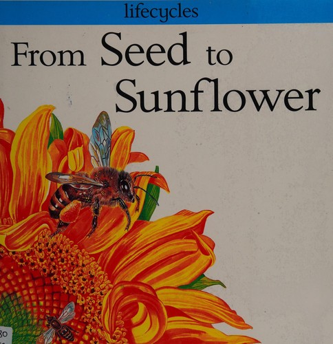 Cover for From Seed to Sunflower (Lifecycles)