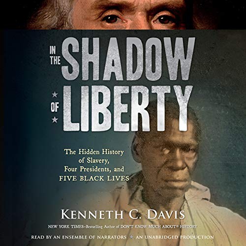 Cover for In the Shadow of Liberty