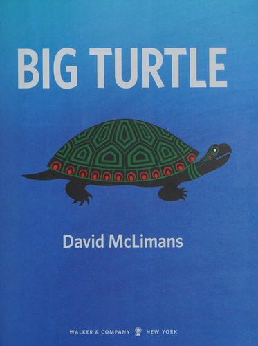 Cover for Big Turtle