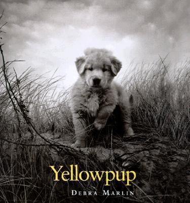 Cover for Yellowpup