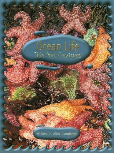 Cover for Ocean life