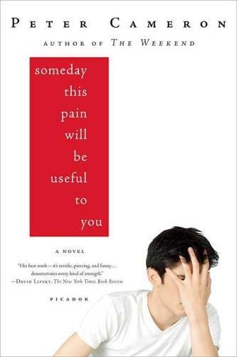 Cover for Someday this pain will be useful to you
