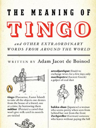 Cover for The Meaning of Tingo