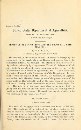 Cover for Report on the gypsy moth and the brown-tail moth, July, 1904