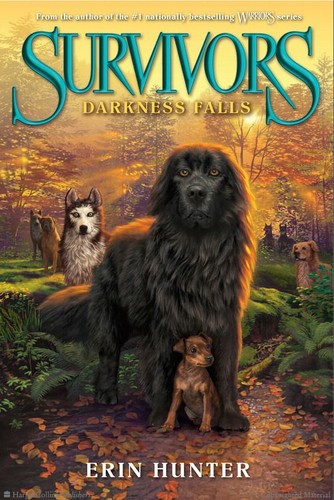 Cover for Survivors: Darkness Falls