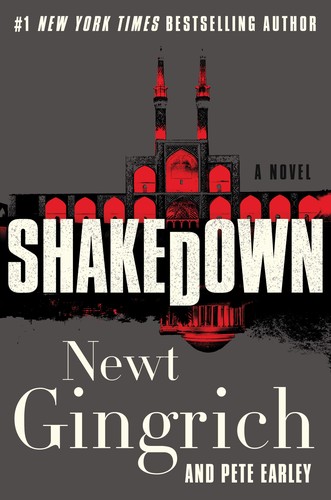 Cover for Shakedown : a novel
