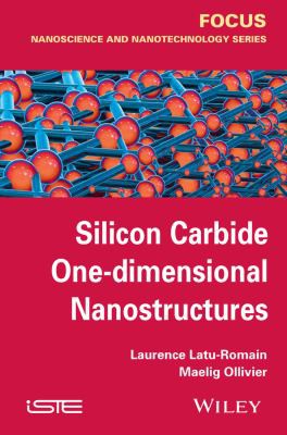 Cover for Silicon Carbide One-Dimensional Nanostructures