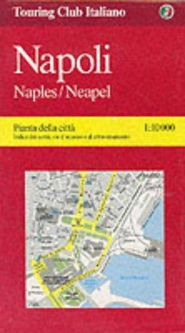Cover for Naples Street Map