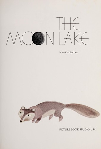 Cover for The moon lake