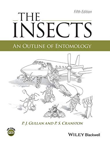Cover for The Insects