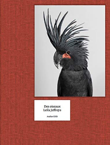 Cover for Des oiseaux - Leila Jeffreys
