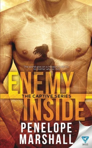 Cover for Enemy Inside