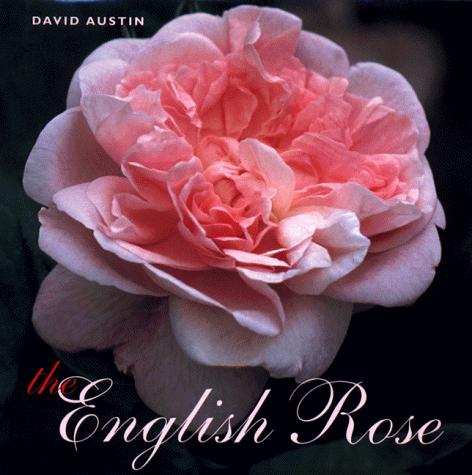 Cover for The English rose