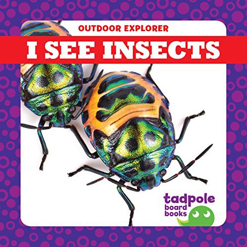 Cover for I See Insects