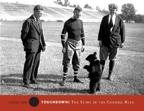 Cover for Touchdown