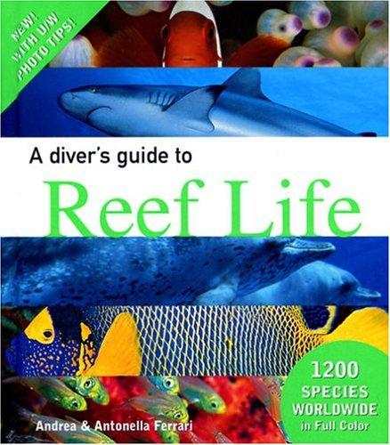 Cover for A Diver's Guide to Reef Life