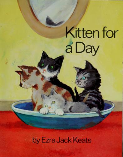 Cover for Kitten for a day