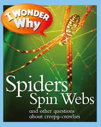 Cover for 英文原版 I Wonder Why Spiders Spin Webs蜘蛛为什么要结网 8 10岁 少儿启蒙认知科普 大开本