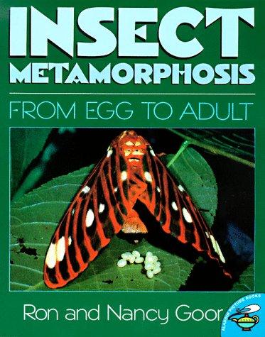 Cover for Insect Metamorphosis