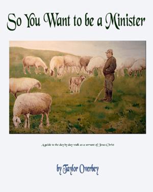 Cover for So You Want to be a Minister