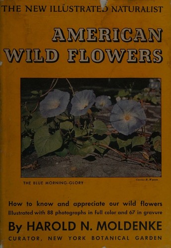 Cover for American Wildflowers