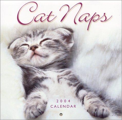 Cover for Cat Naps 2004 Mini Calendar