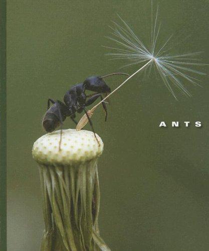 Cover for Ants (World of Insects)