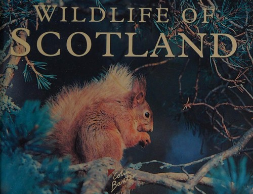 Cover for Wildlife of Scotland.