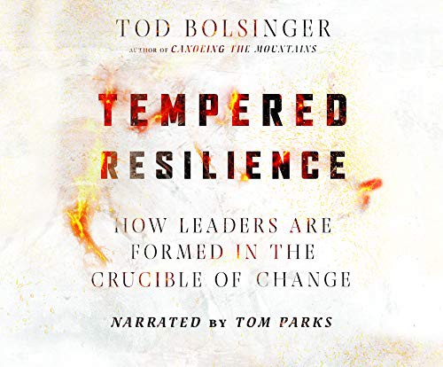 Cover for Tempered Resilience
