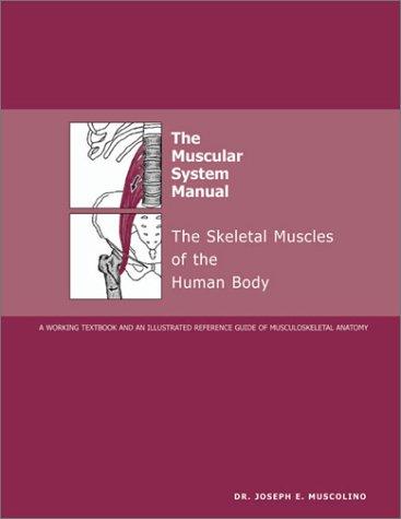 Cover for The Muscular System Manual