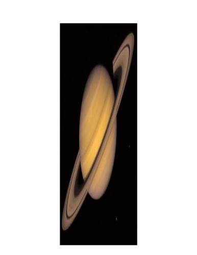 Cover for Saturn on perma.cc