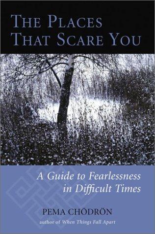 Cover for The places that scare you