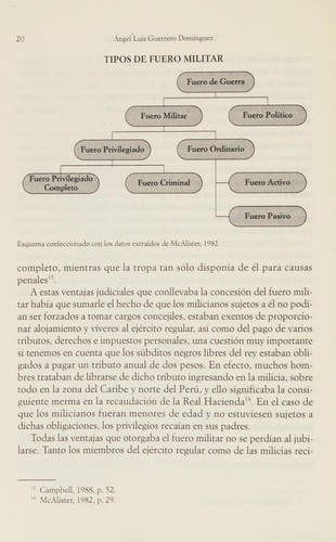 Cover for Las armas de la nación