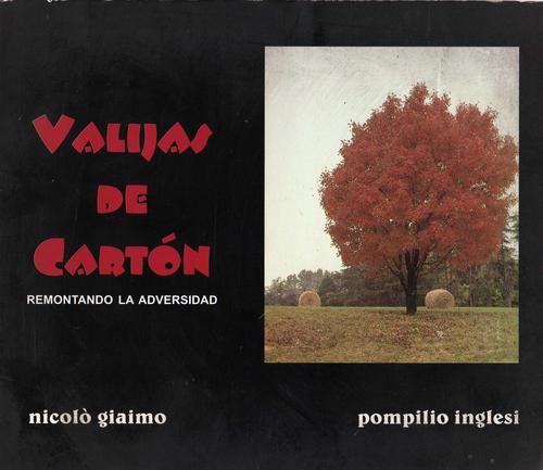 Cover for Valijas de cartón