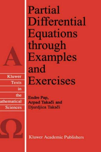 Cover for Partial differential equations through examples and exercises